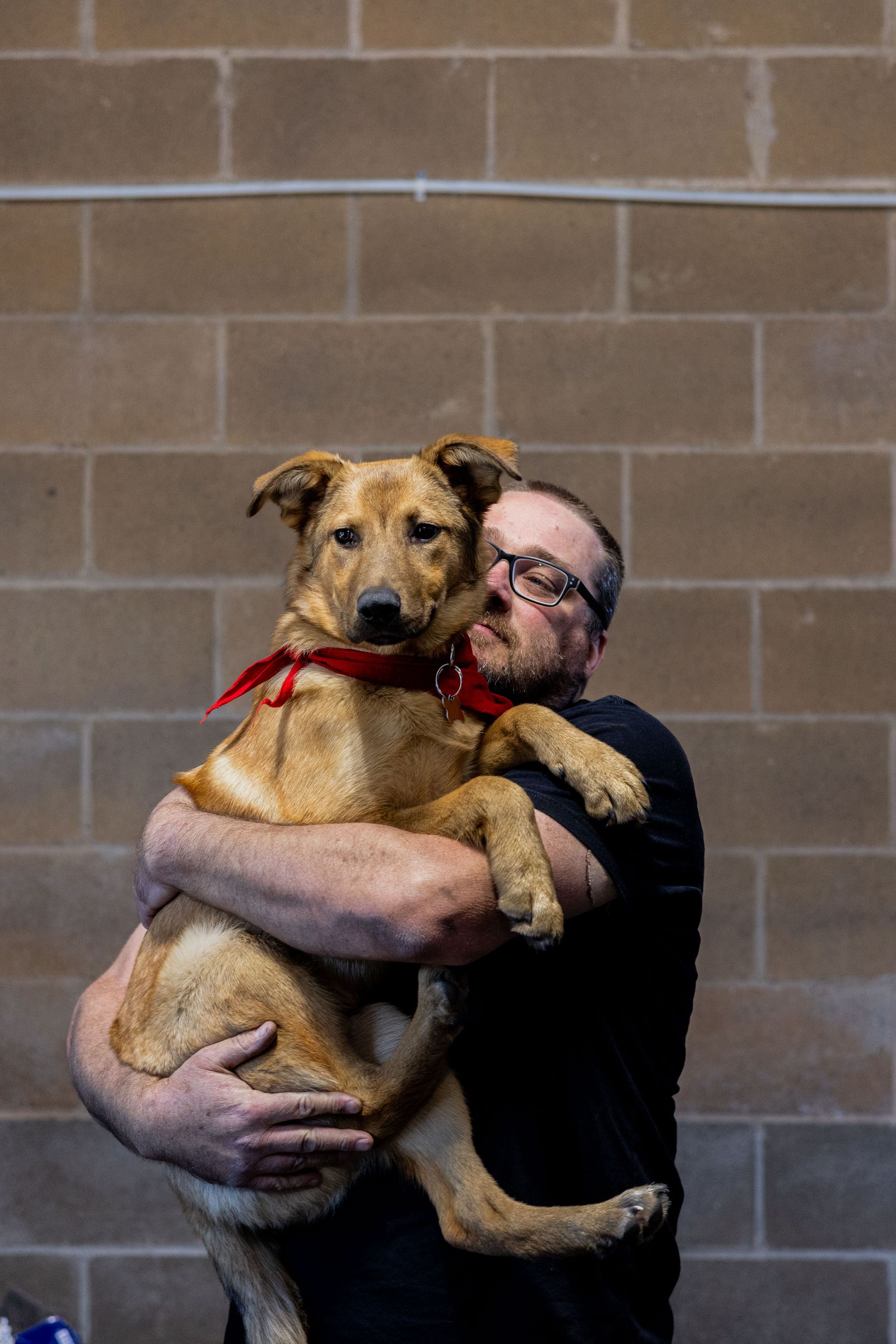 Man holding a large, tan dog with a red collar against a brick wall. | Peak Euro