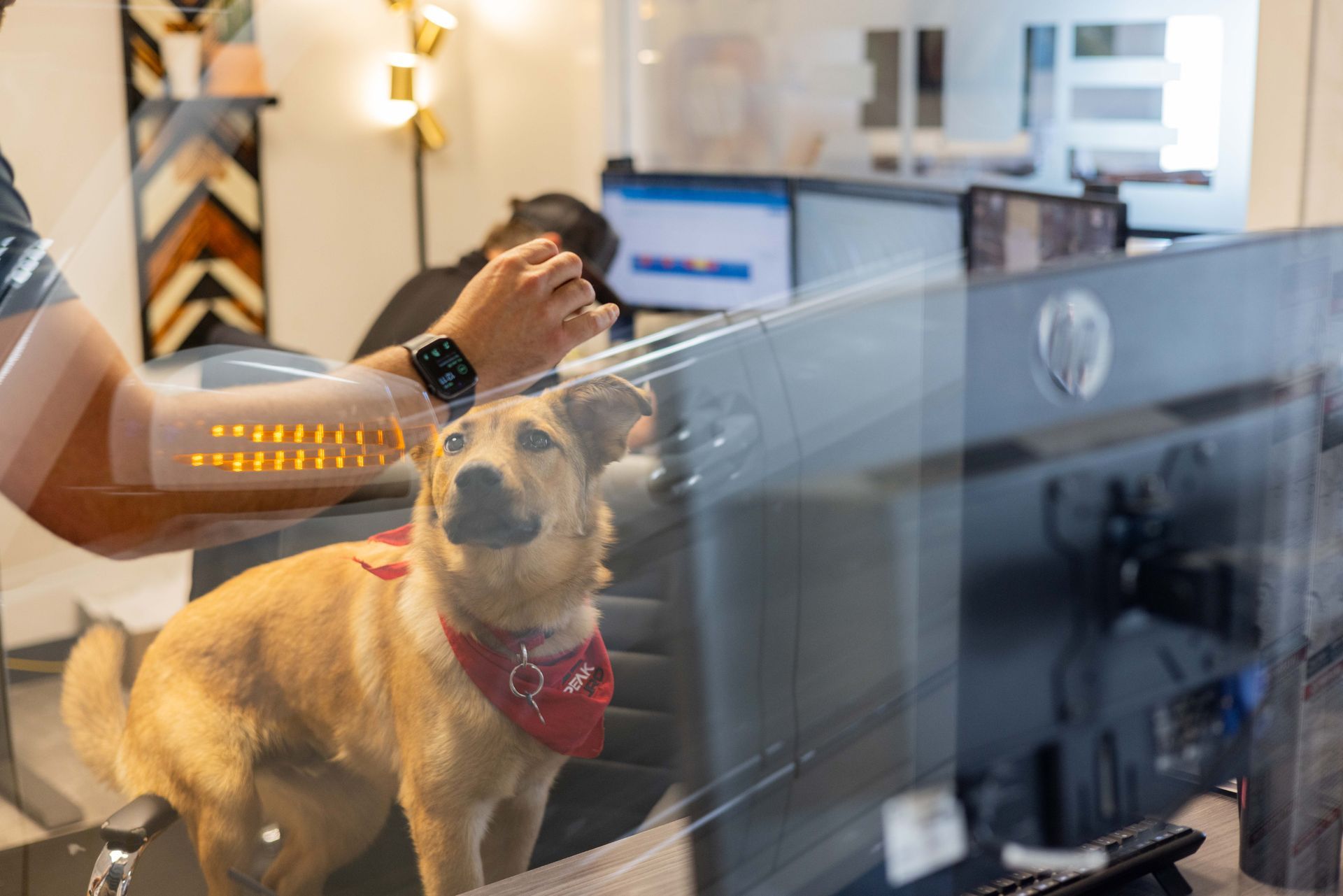 Person petting a tan dog wearing a red bandana at an office desk; another person is in the background. | Peak Euro