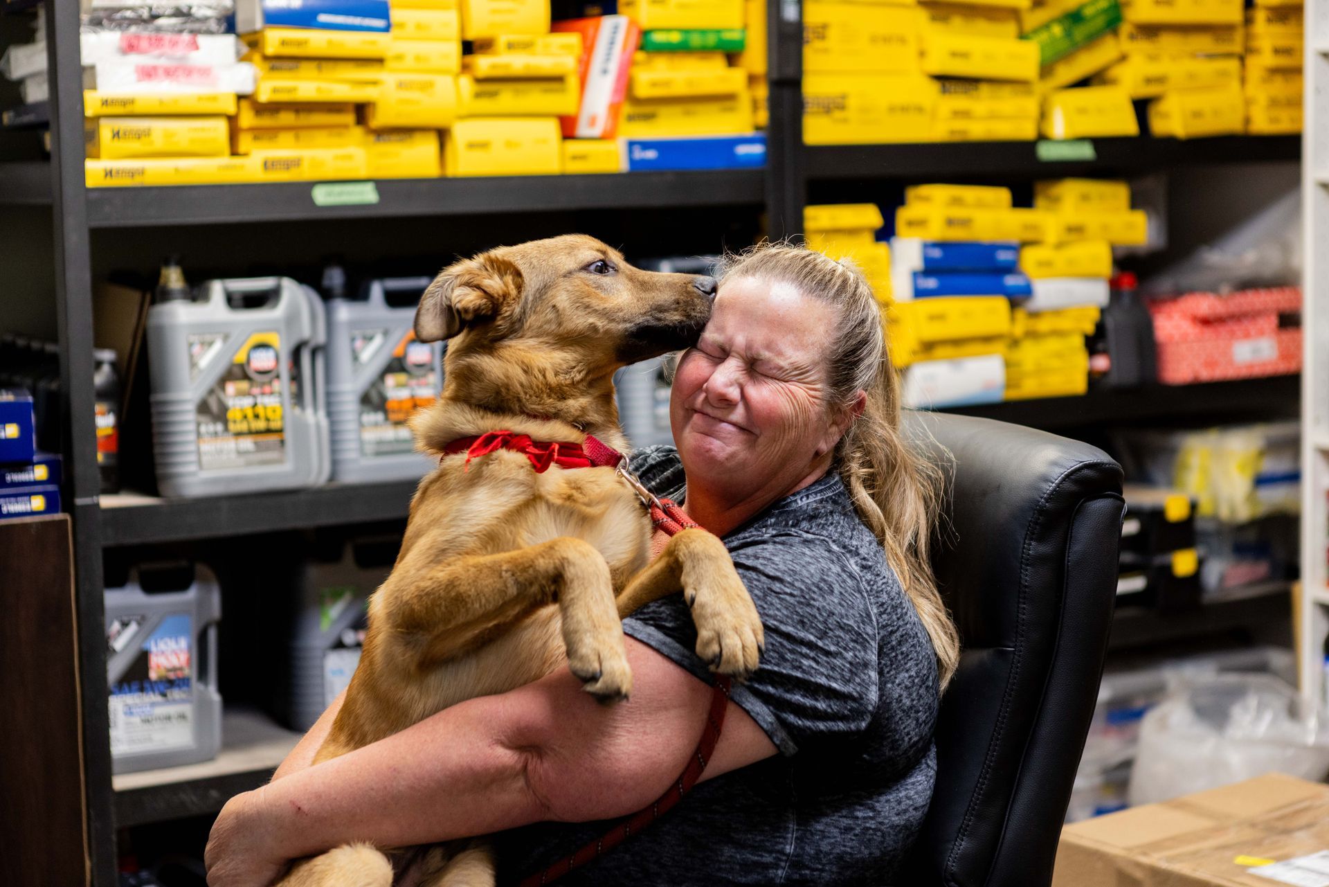 Woman in a chair being kissed by a dog indoors, surrounded by boxes and shelves with car parts. | Peak Euro
