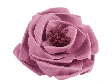 fiori rosa e bianchi