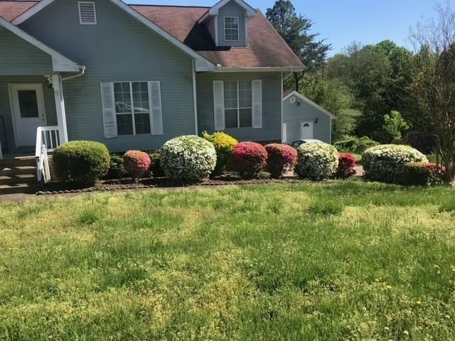 A house with a lot of bushes in front of it