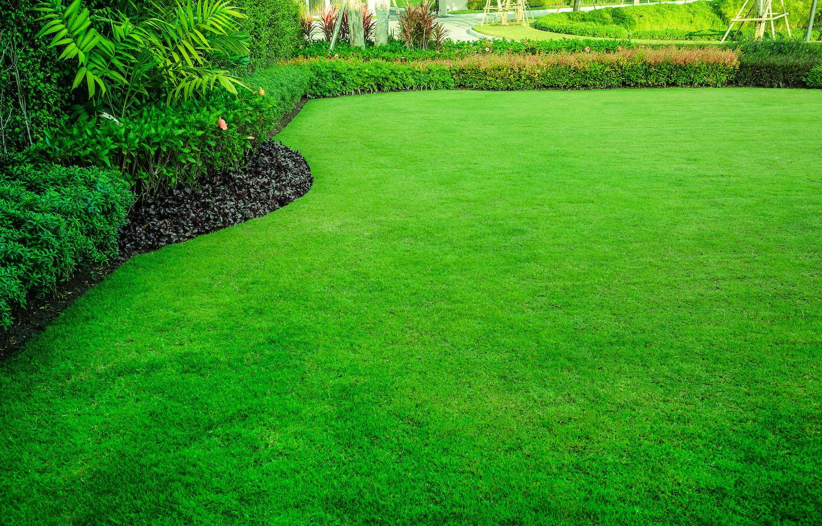 A lush green lawn in a garden with bushes and trees.