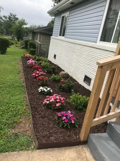 A row of flowers are growing on the side of a house.