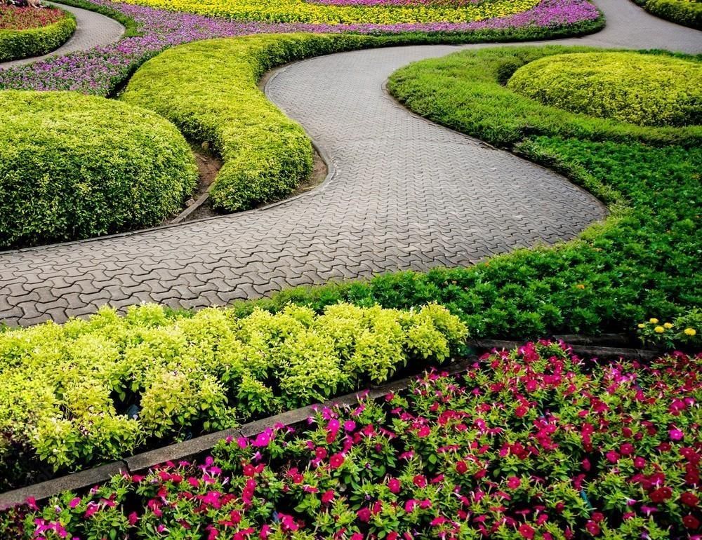 A path in a garden surrounded by flowers and bushes