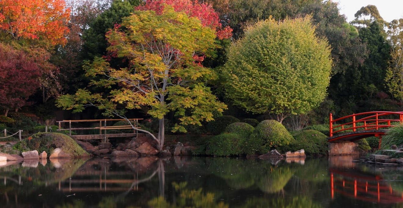 A Bridge Over a Lake in A Park with Trees — Toowoomba Locksmiths in Toowoomba City, QLD
