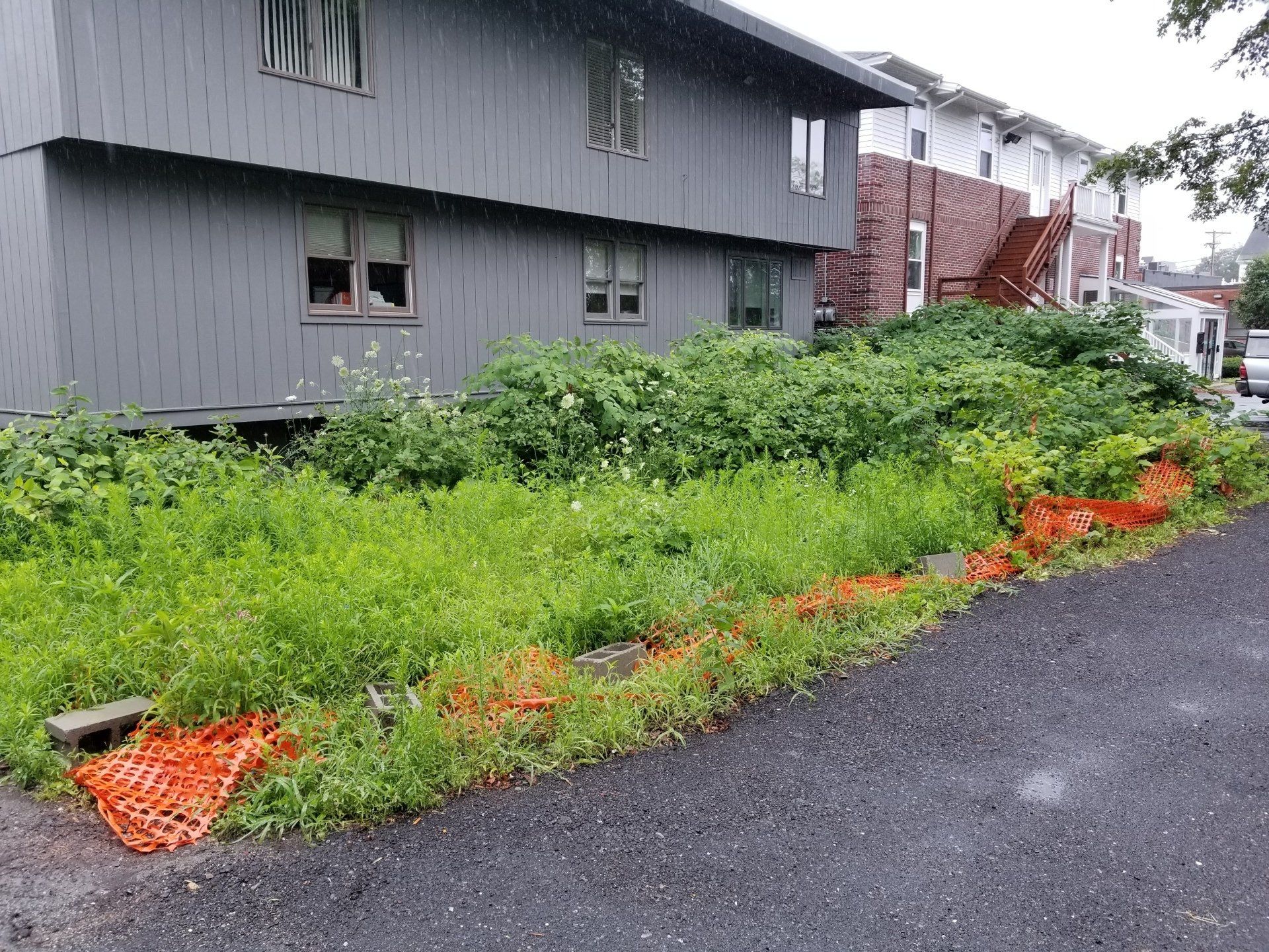 landscaping photo gallery