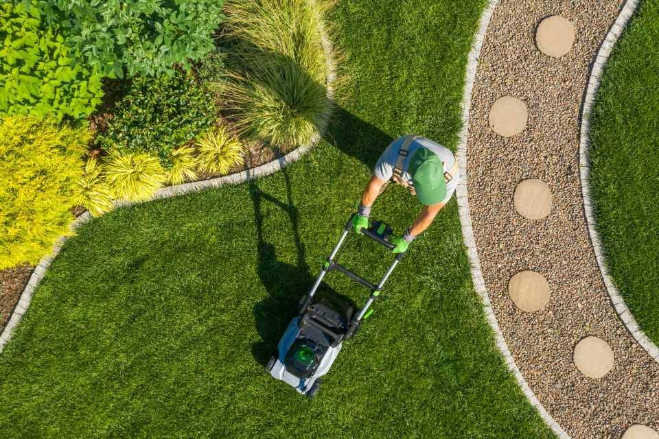 An aerial view of a person mowing a lush green lawn.