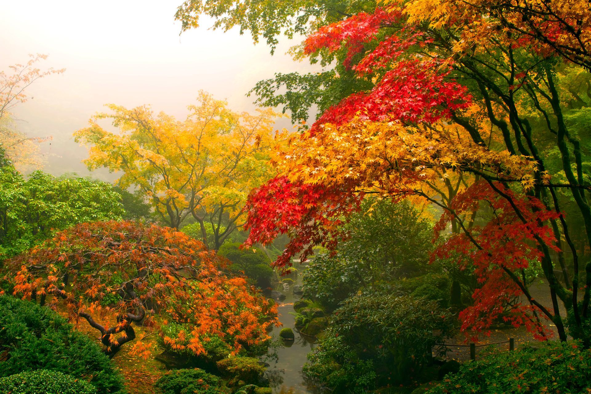 Psychotherapy in Portland, OR Psychotherapy in Portland, OR