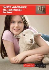 Caring for Wool Carpet — Dural, NSW — Newline Carpets