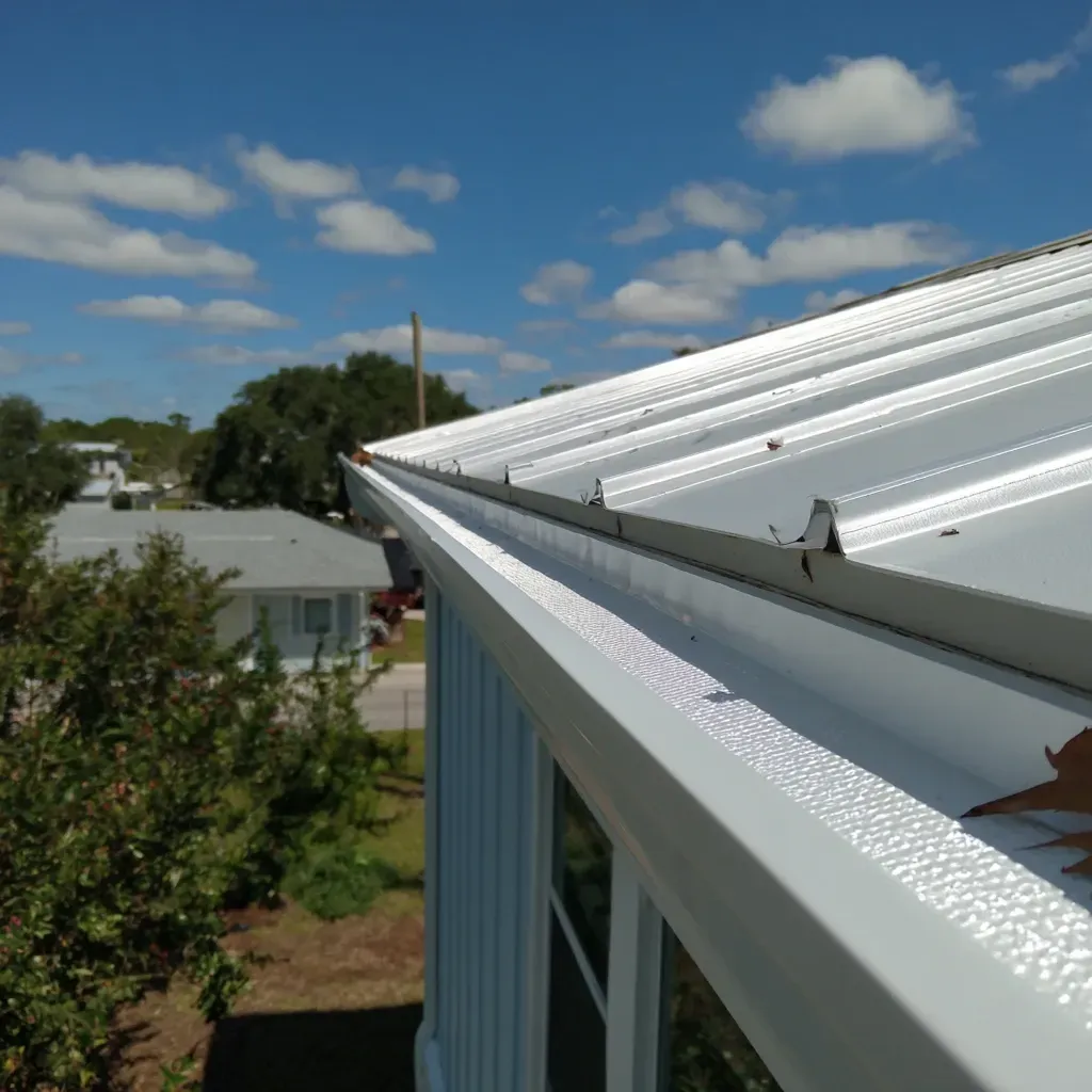 Ventilated soffits and debris-free gutters with ongoing maintenance in Tampa FL homes.