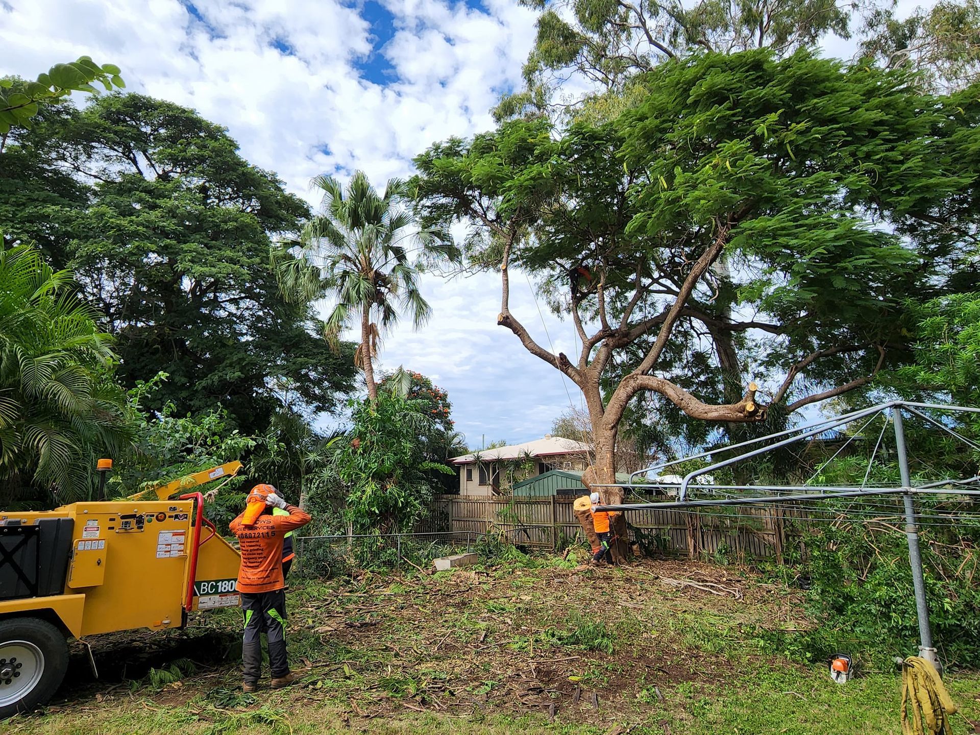 Tree Removal Worker Atop a Large Tree Trunk — Barlows Tree Services in Rockhampton, QLD