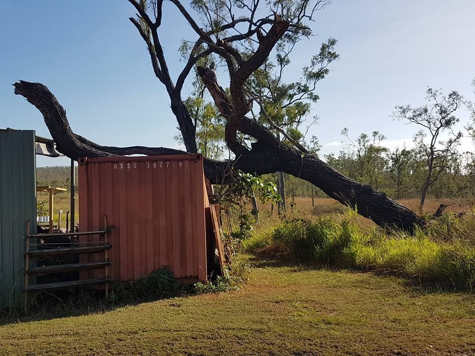 Large fallen tree resting across a shipping container on a rural property after storm damage.