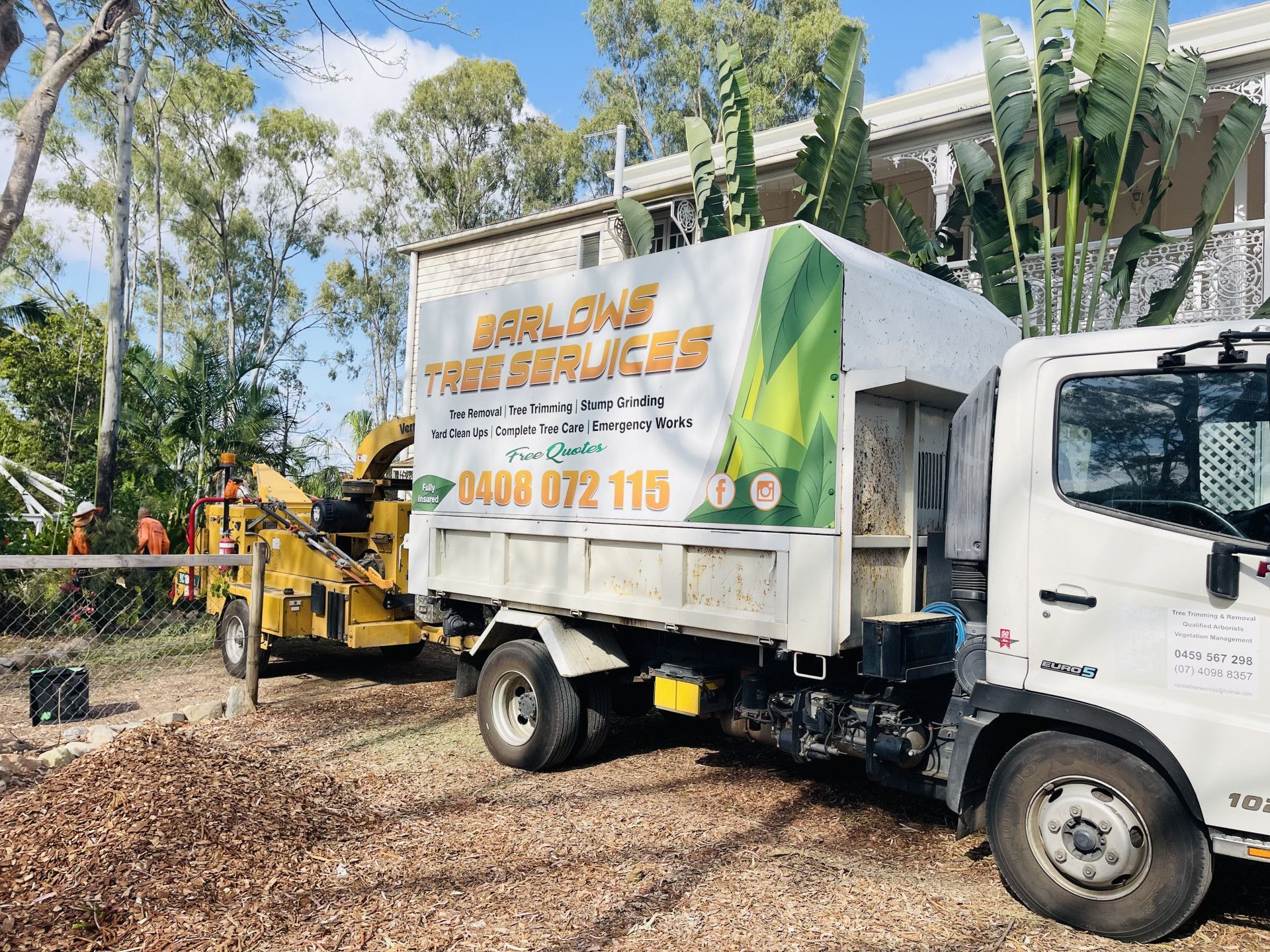 Arborist Atop a Large Tree Trunk — Barlows Tree Services in Rockhampton, QLD