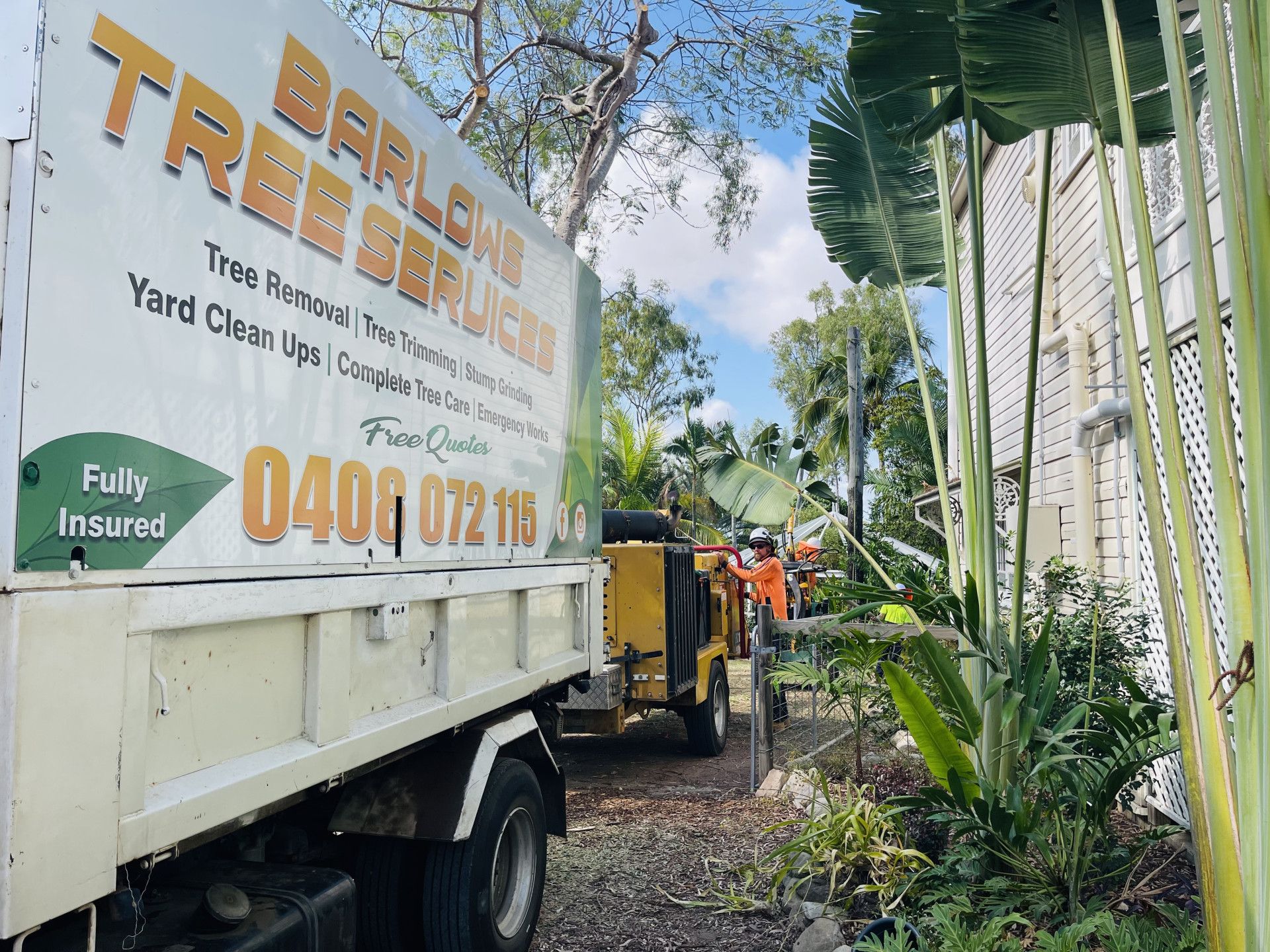 Partially Cut Tree With Large Branches Against a Blue Sky — Barlows Tree Services in Rockhampton, QLD
