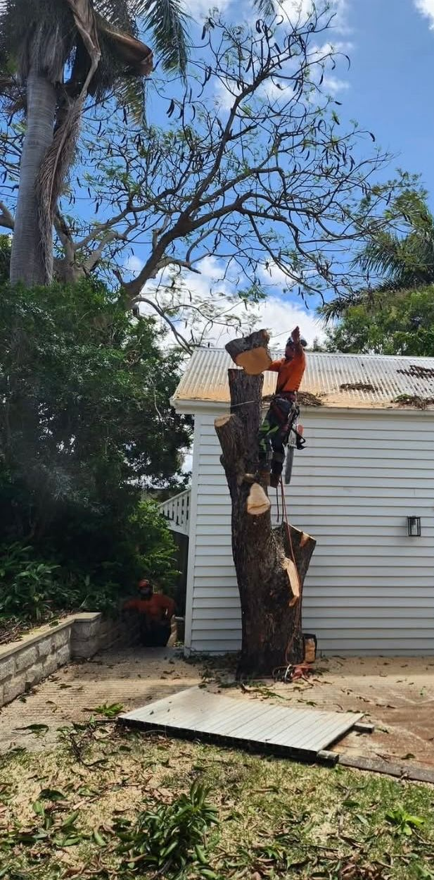 Man in Bucket Truck Cutting Tree Branch With Chainsaw — Barlows Tree Services in Rockhampton, QLD