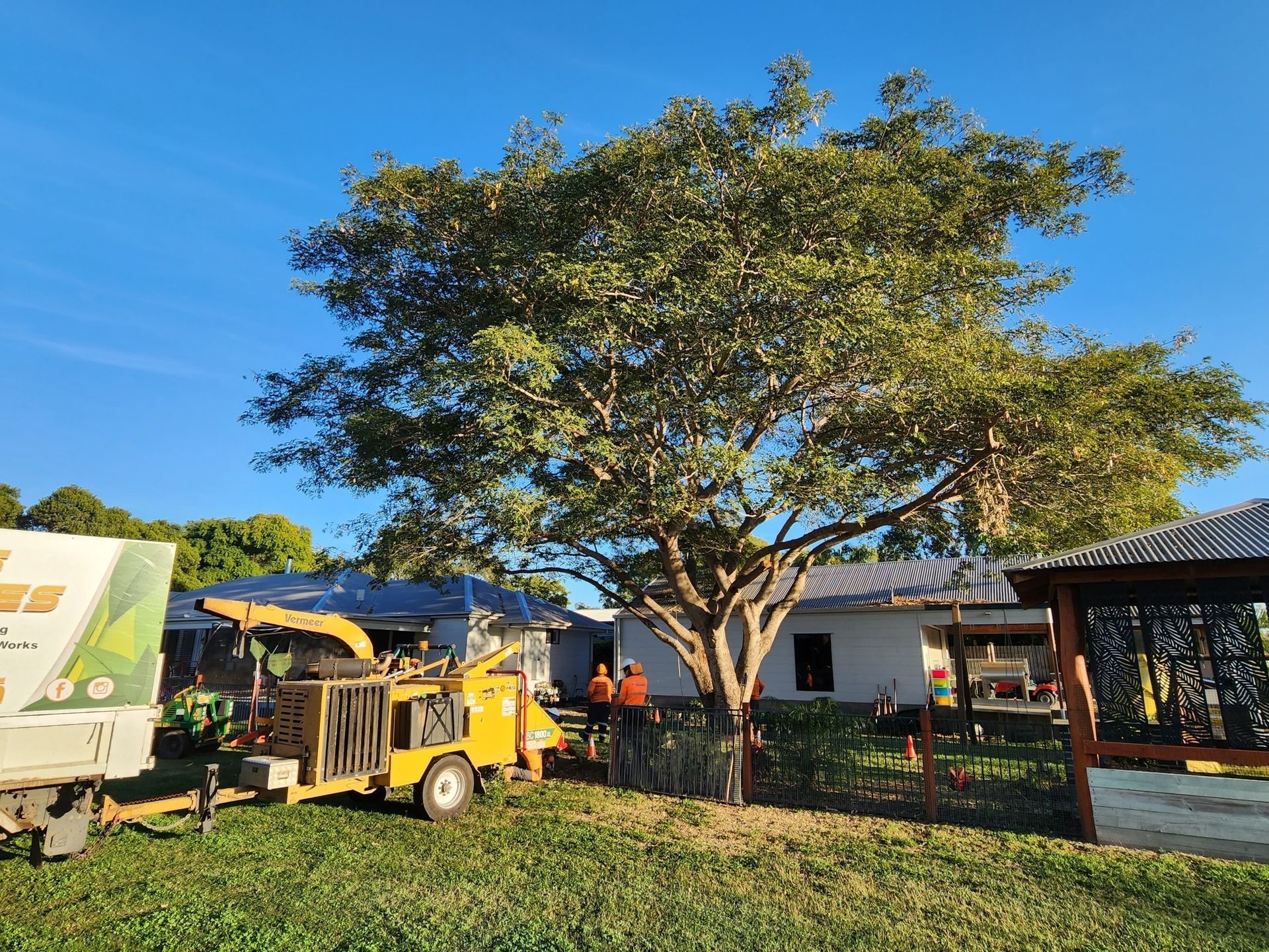 Tree Being Trimmed; Wood Chipper — Barlows Tree Services in Rockhampton, QLD