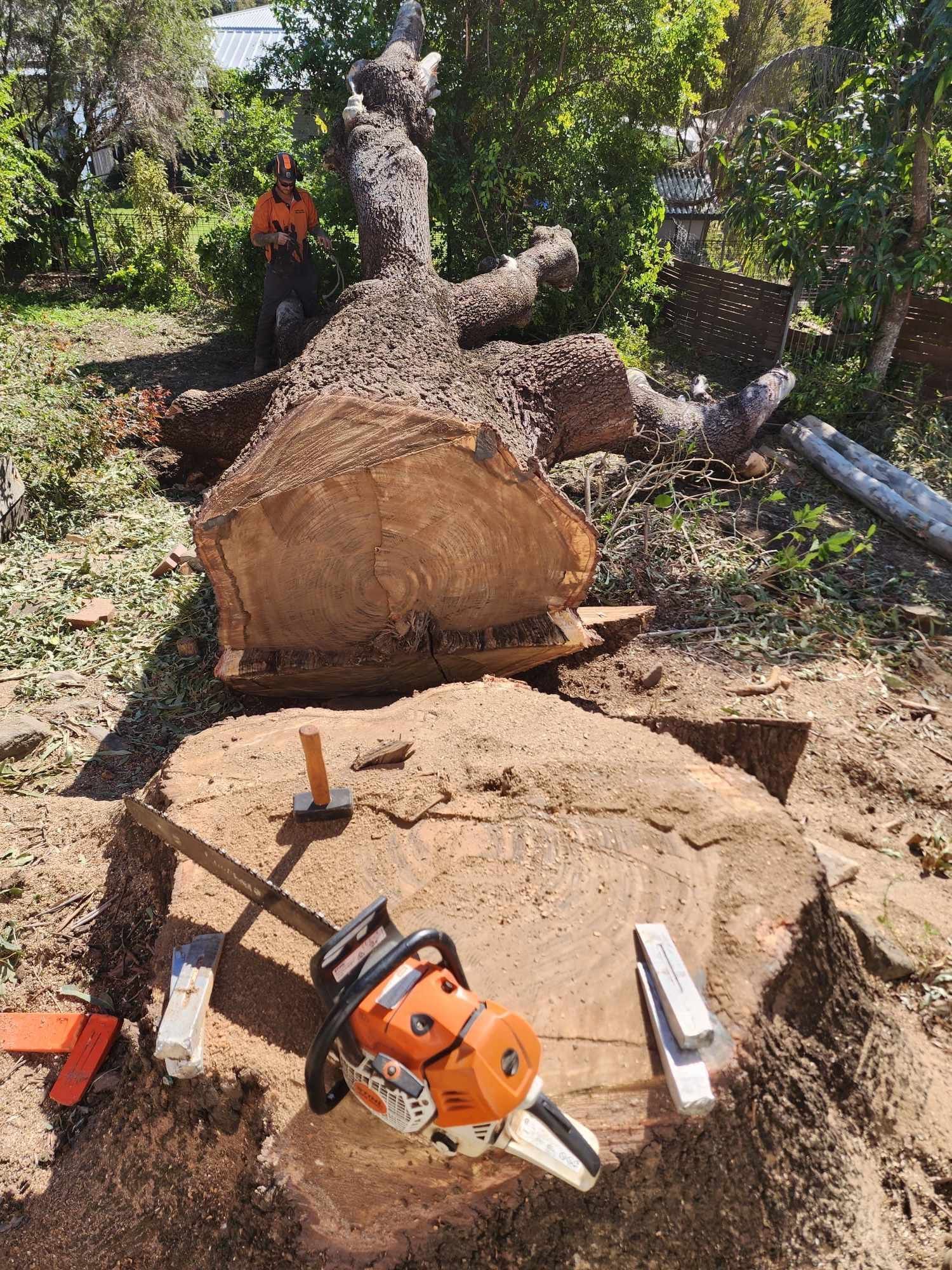 Chainsaw on a Large Cut Log — Barlows Tree Services in Rockhampton, QLD