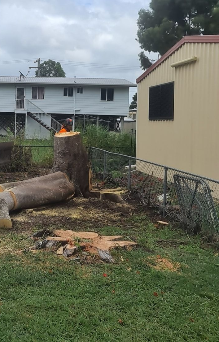 A Skid Steer Loader Sits in a Backyard — Barlows Tree Services in Rockhampton, QLD