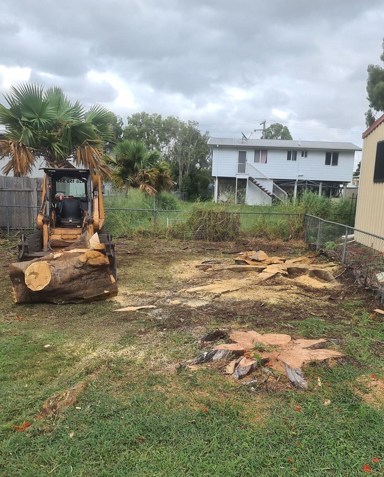 Bulldozer clearing a grassy lot beside houses, with tree stumps and debris on the ground — Barlows Tree Services in Rockhampton, QLD