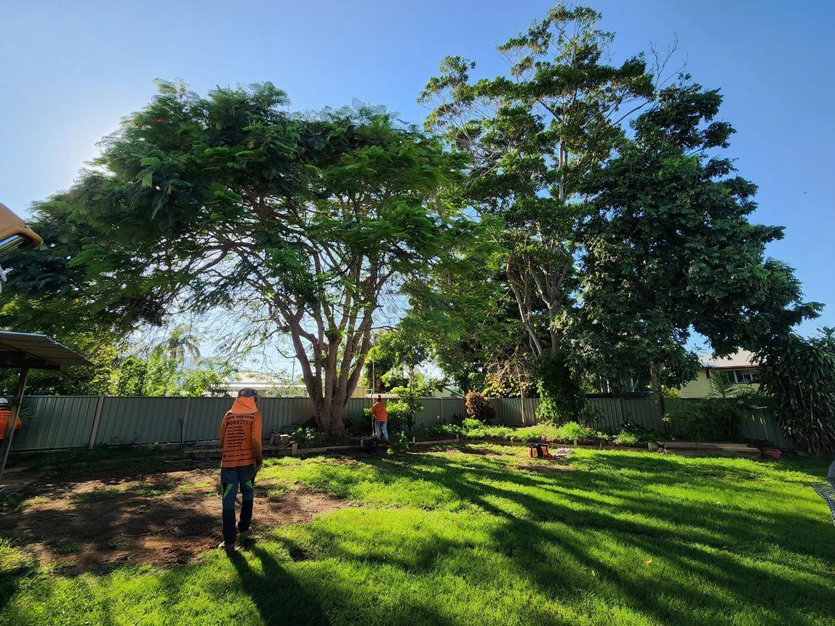Workers in Orange Vests Tending to Trees — Barlows Tree Services in Rockhampton, QLD
