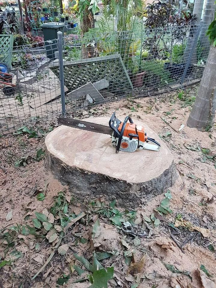 Chainsaw on a Tree Stump in a Garden — Barlows Tree Services in Rockhampton, QLD