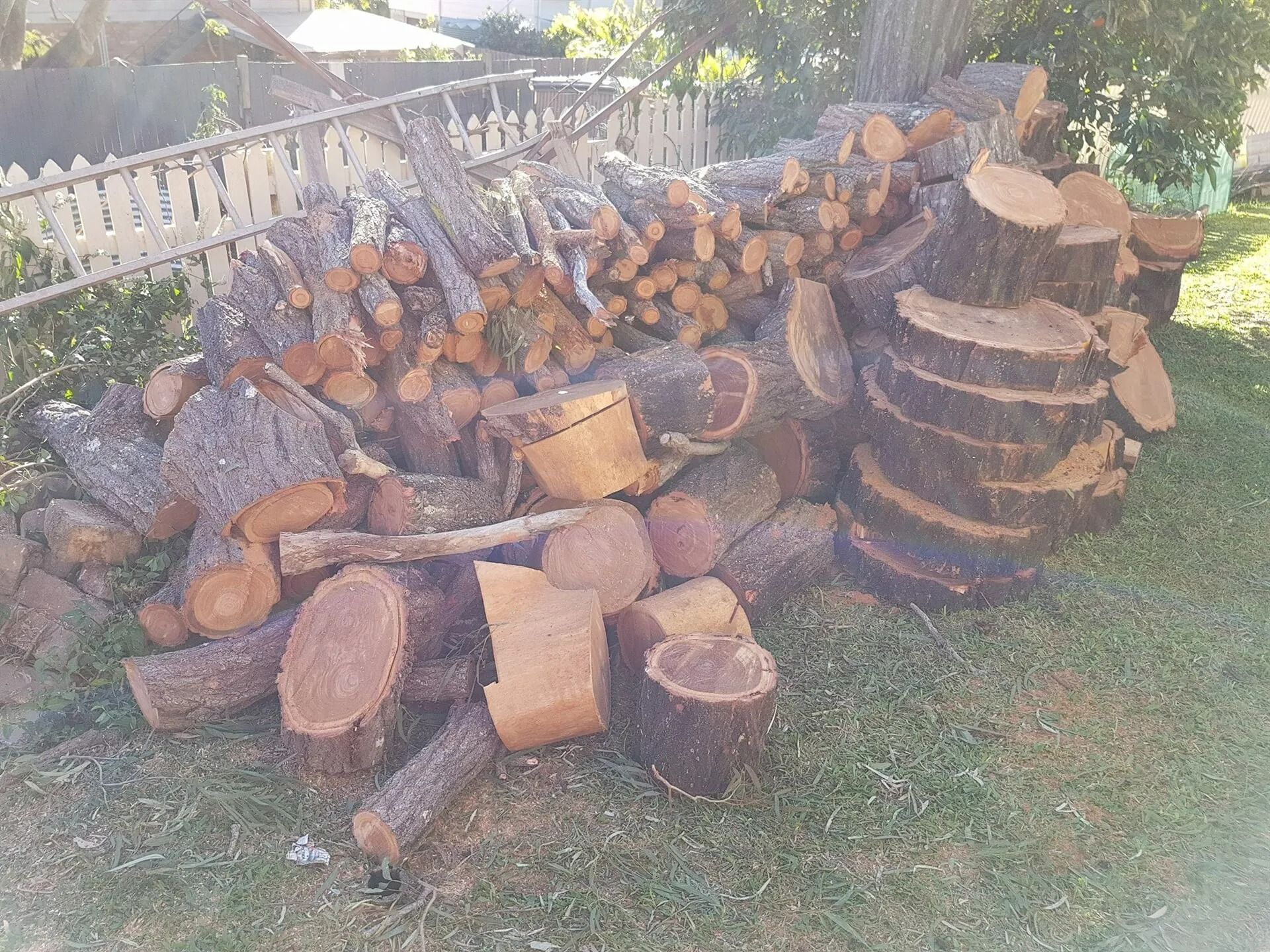 Pile of Cut Firewood on Grass Next to a White Fence — Barlows Tree Services in Rockhampton, QLD