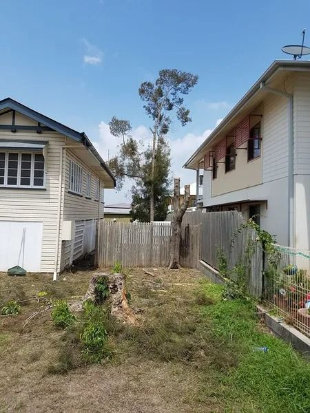 Narrow Grassy Backyard Between Two Houses, With a Wooden Fence — Barlows Tree Services in Rockhampton, QLD