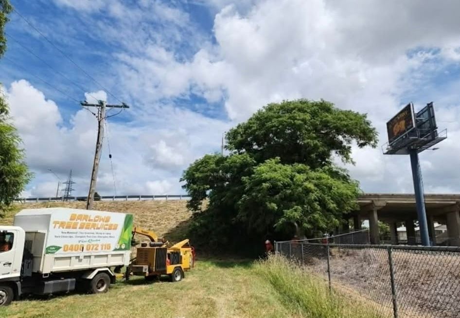 Tree Beside Roadside Work Truck and Equipment — Barlows Tree Services in Rockhampton, QLD