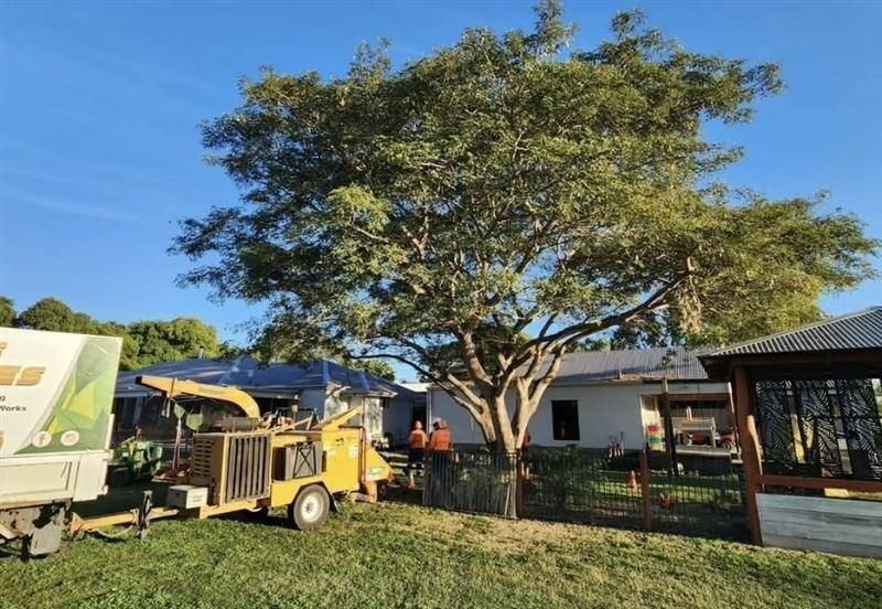 Yellow Truck Under a Large Tree Beside a Small House — Barlows Tree Services in Rockhampton, QLD