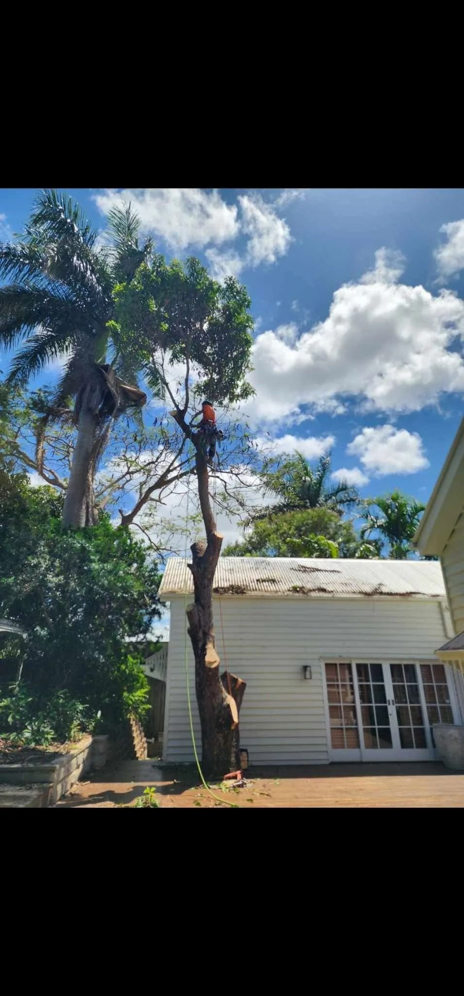 White House With Large Trees Under a Bright Blue Sky With Clouds — Barlows Tree Services in Rockhampton, QLD