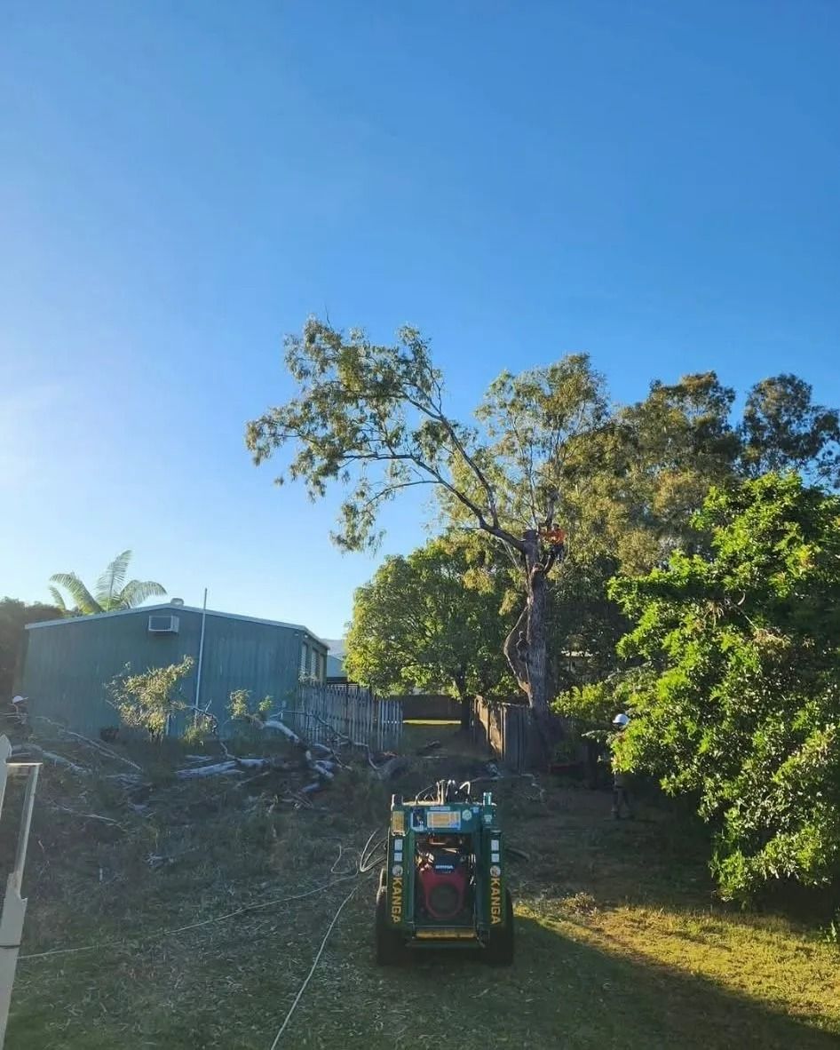 Backyard Scene With a Utility Vehicle on a Grassy Slope, Trees, and a House — Barlows Tree Services in Rockhampton, QLD