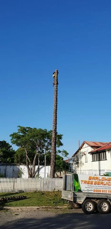 Tall Utility Pole Beside a Fenced Yard and Parked Truck — Barlows Tree Services in Rockhampton, QLD