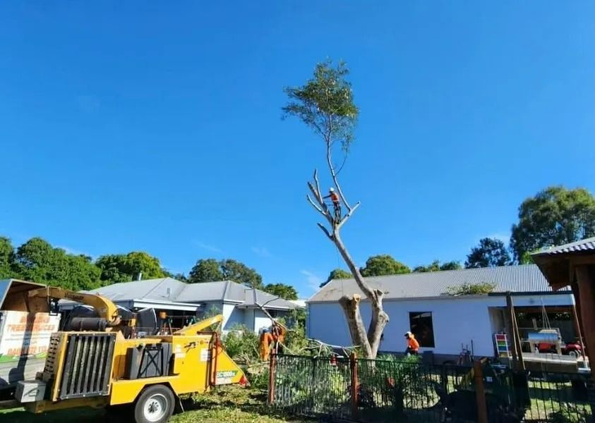 Yellow Construction Vehicle and Crane Work Beside a White House — Barlows Tree Services in Rockhampton, QLD
