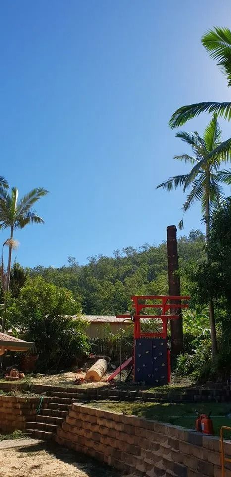 Playground With Red Climbing Frame and Blue Slide Beside Palm Trees — Barlows Tree Services in Rockhampton, QLD