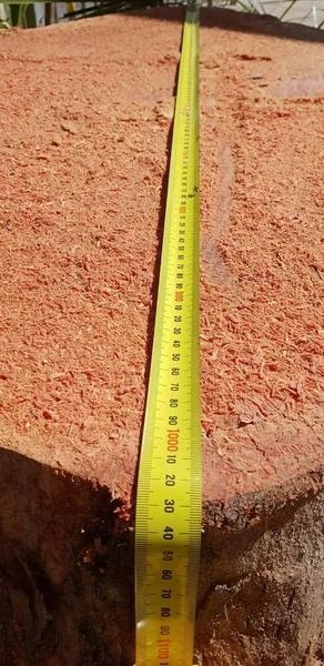 Yellow Measuring Tape Laid Along a Reddish Dirt Surface Outdoors — Barlows Tree Services in Rockhampton, QLD