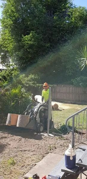 Worker Watering Plants Beside a Fence, With a Large Tree Overhead — Barlows Tree Services in Rockhampton, QLD