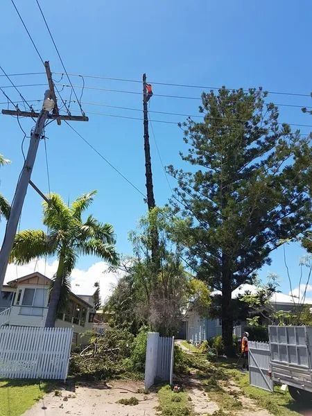 Residential Street With Utility Poles, Trees, and a White Fence — Barlows Tree Services in Rockhampton, QLD