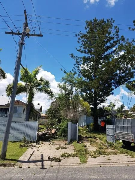 Vacant Lot With Palm Trees, Utility Pole, and a Metal Trailer — Barlows Tree Services in Rockhampton, QLD