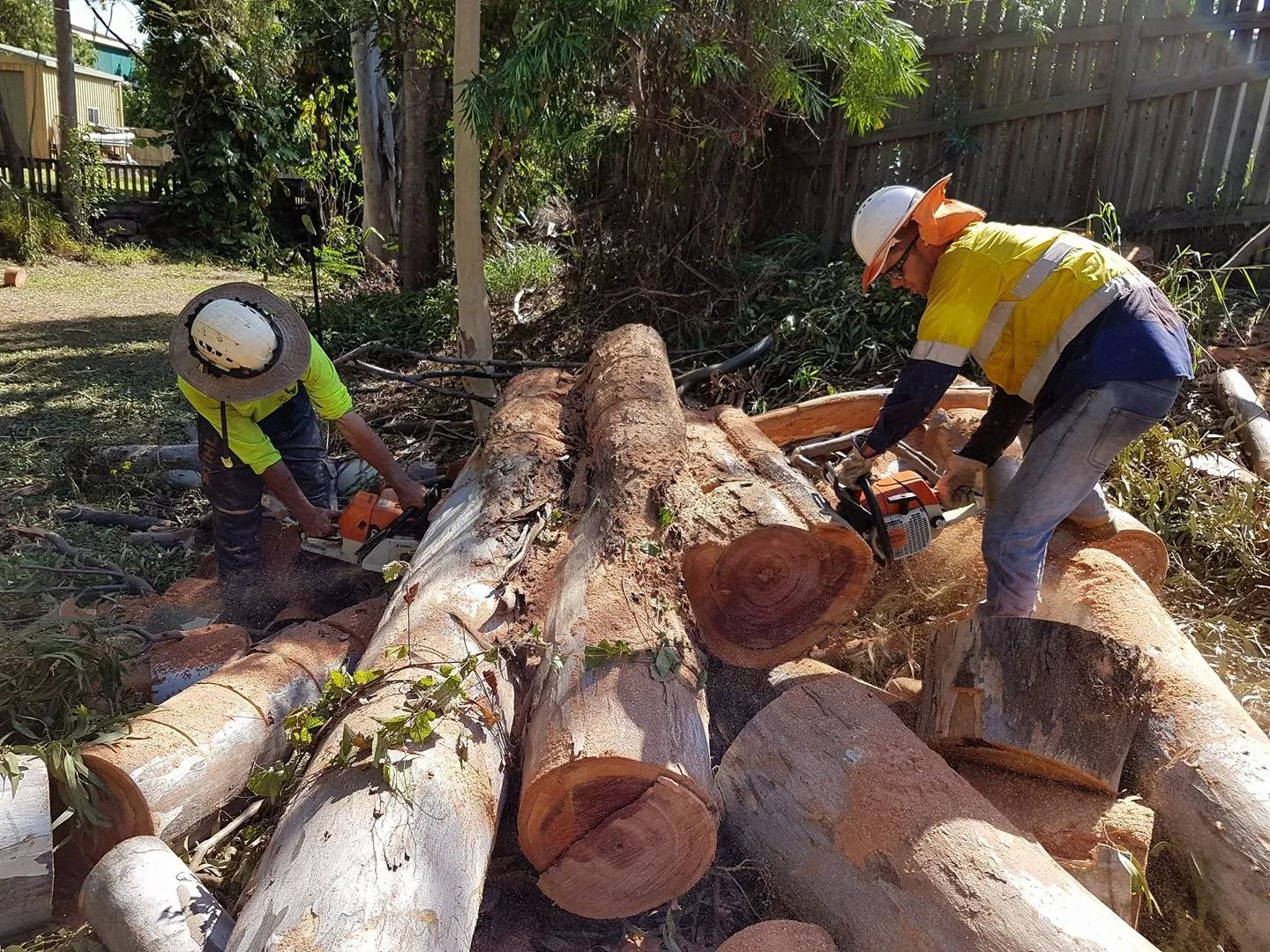 Two People in Safety Gear Cutting Logs With Chainsaws Outdoors — Barlows Tree Services in Rockhampton, QLD
