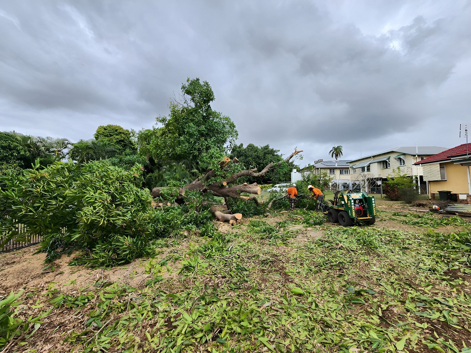 Tree Removal in Progress — Barlows Tree Services in Rockhampton, QLD