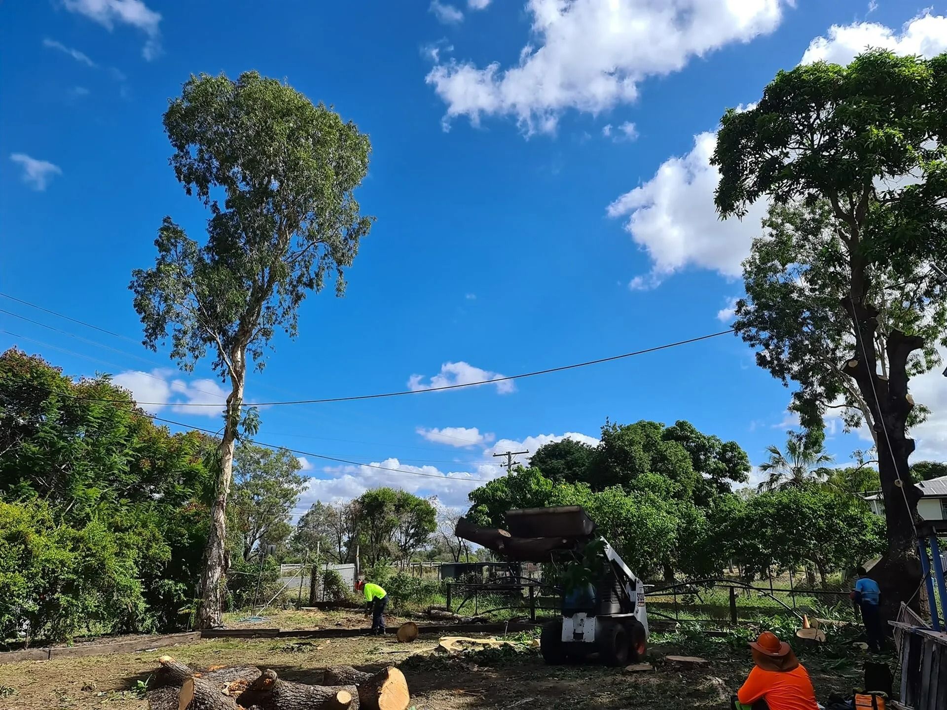 Tree Removal in Progress Under a Bright Blue — Barlows Tree Services in Rockhampton, QLD