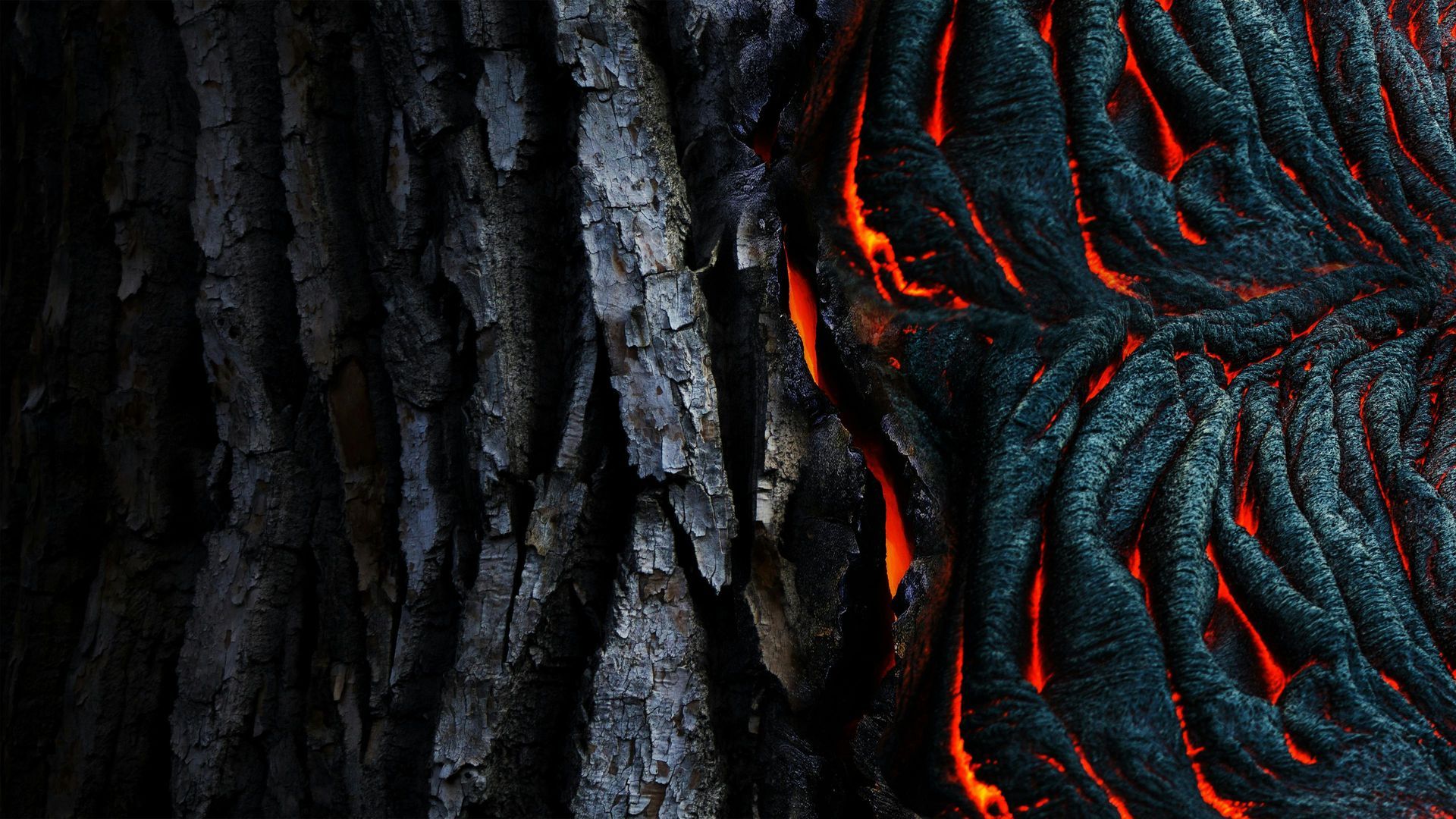 A close up of a tree trunk with lava coming out of it.