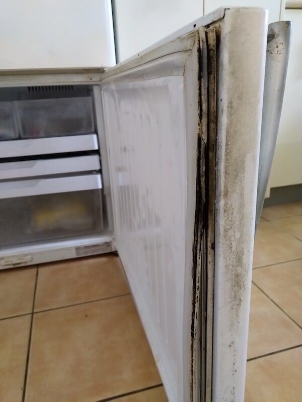 Fridge Door Open — Darwin Mobile Fridge Seals in Darwin, NT