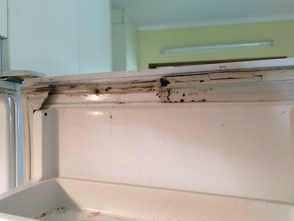 Broken In side Fridge Door — Darwin Mobile Fridge Seals in Darwin, NT