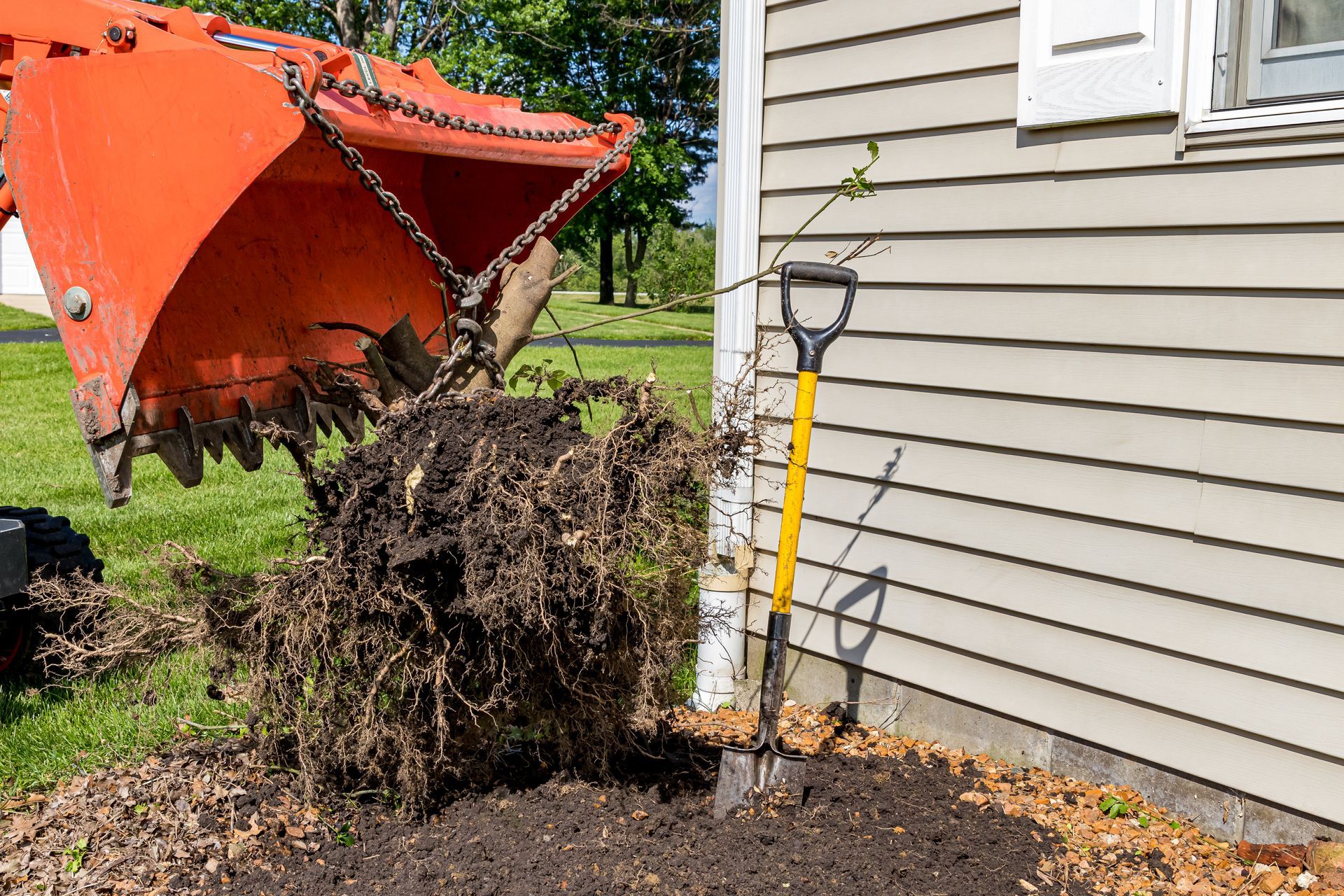 An orange tractor bucket lifts a large clump of roots and soil next to a shovel leaning against a beige house.