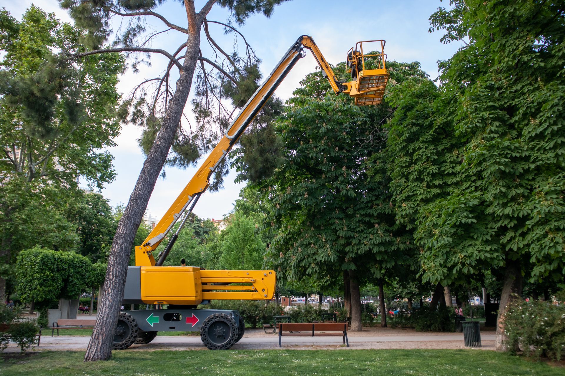 Yellow cherry picker trimming a tree in a park. Green trees and grass with a bench.