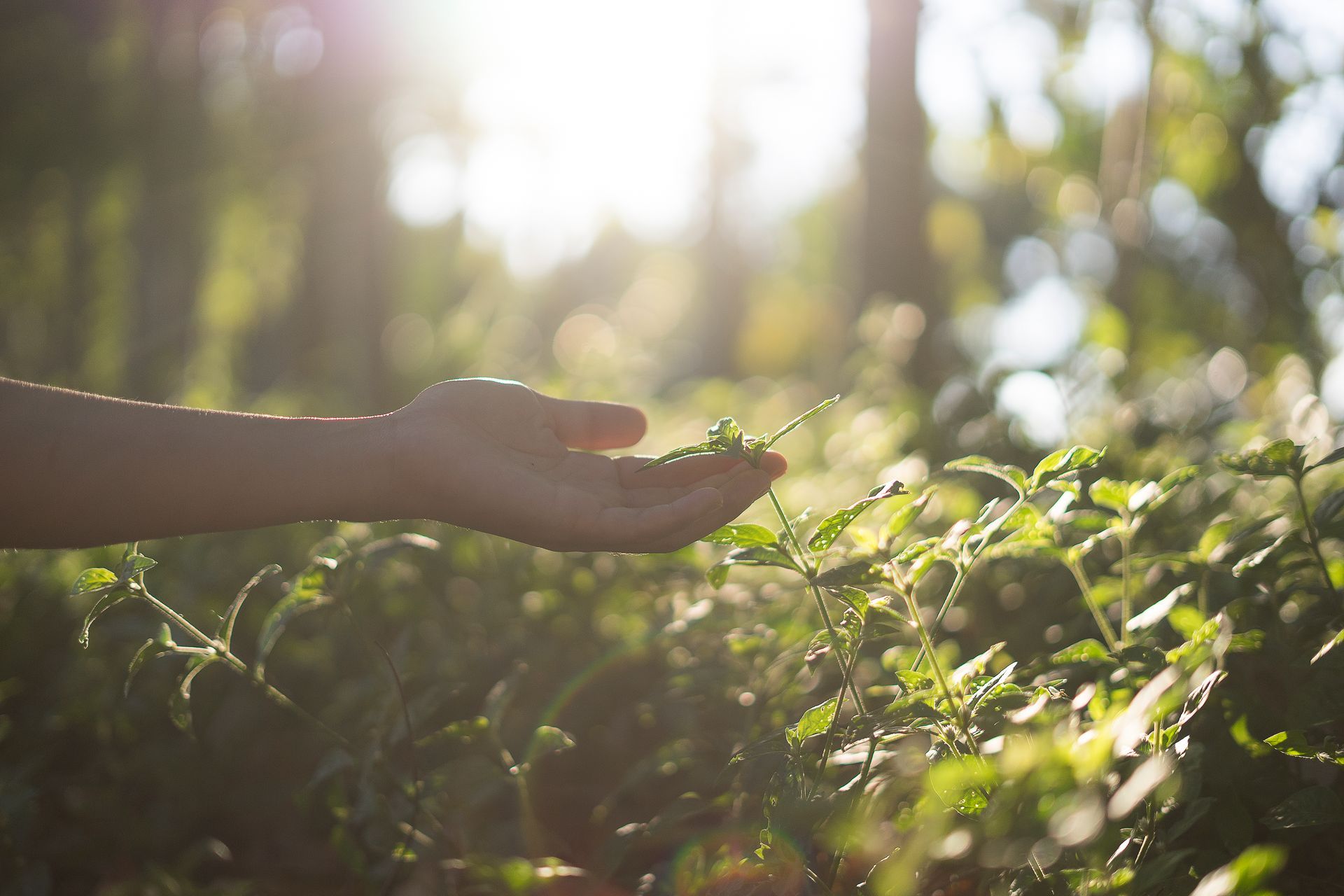 Downspout — Columbia, MO — Thurmond’s Lawn & Tree