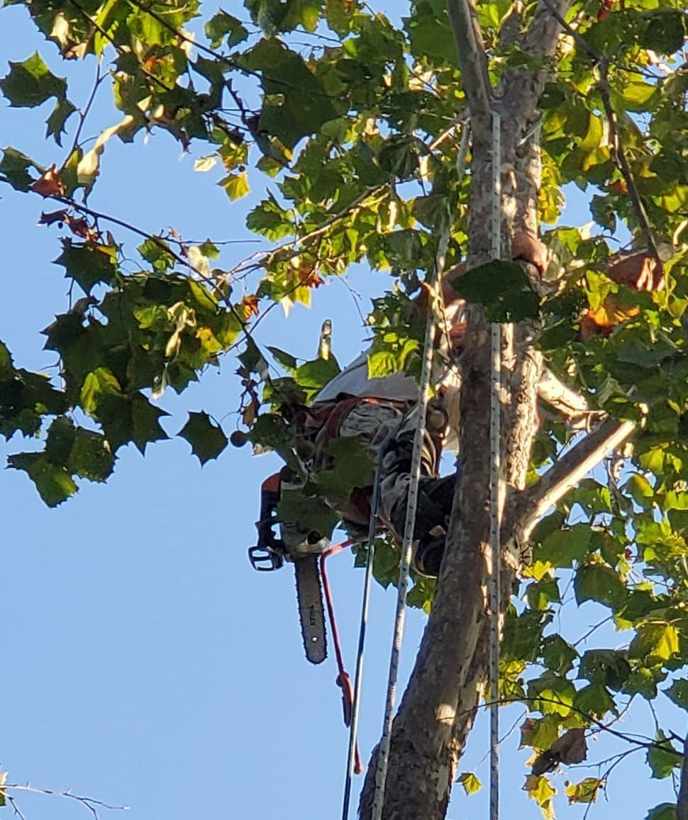 Metal Worker Using a Grinder — Columbia, MO — Thurmond’s Lawn & Tree