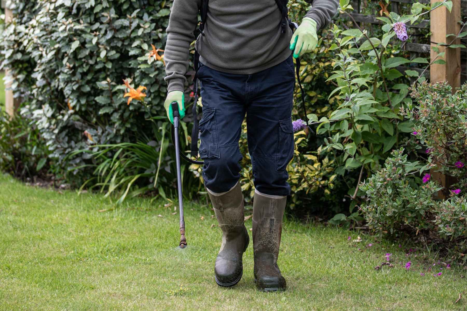 lawn care Surrey