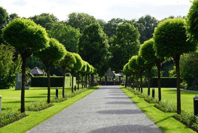 surrey planting zone surrey bc